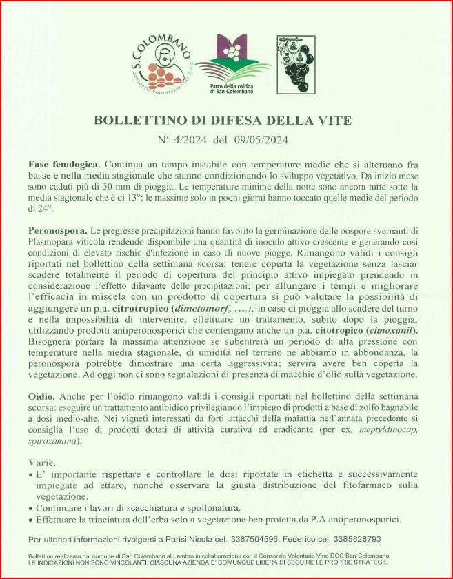 bollettino difesa vite